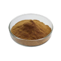 extrato de alecrim antioxidante natural